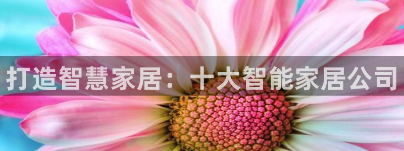 ug环球正网买分