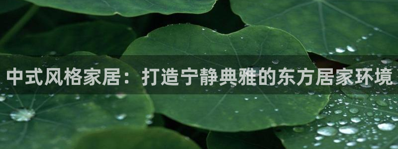ug环球正网买分