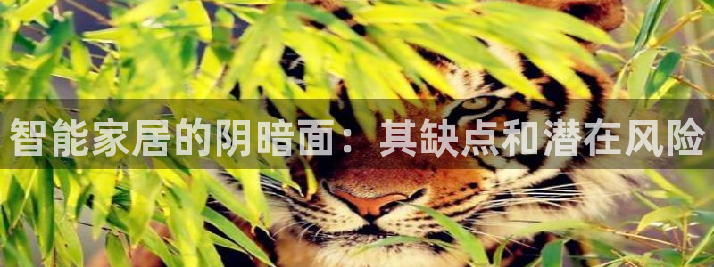 ug环球app下载