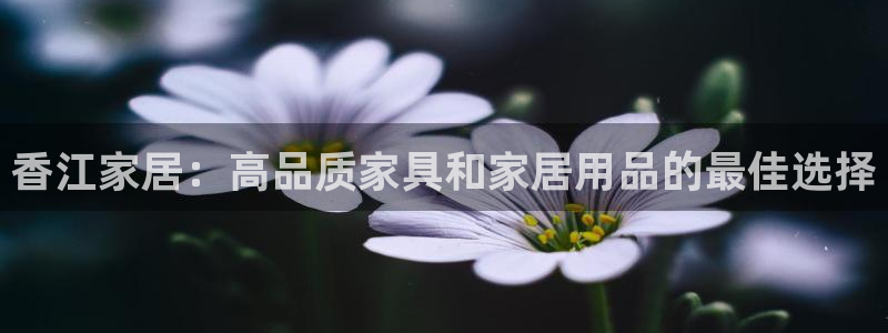 UG环球视讯下载