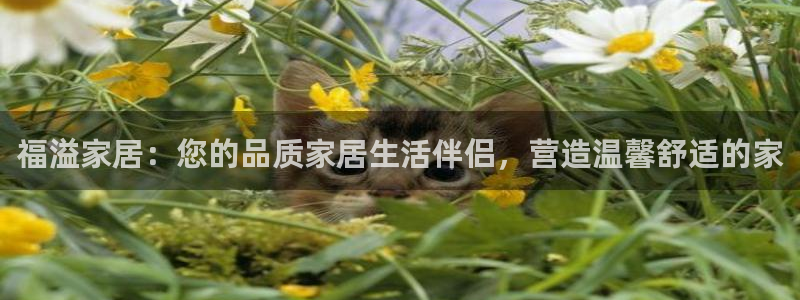 ug环球正网