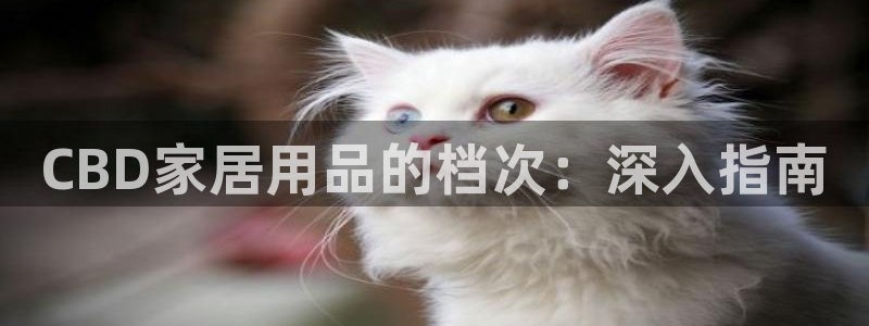 ug环球包杀网一比一