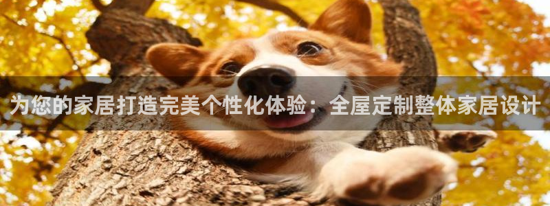 UG环球假网一比一包杀网