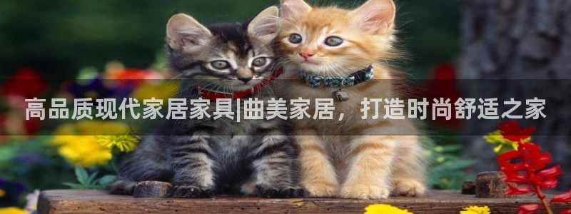 ug环球视讯下载