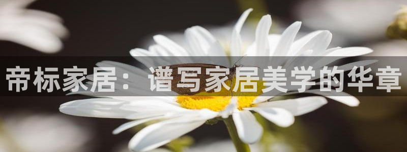 ug环球国际买分