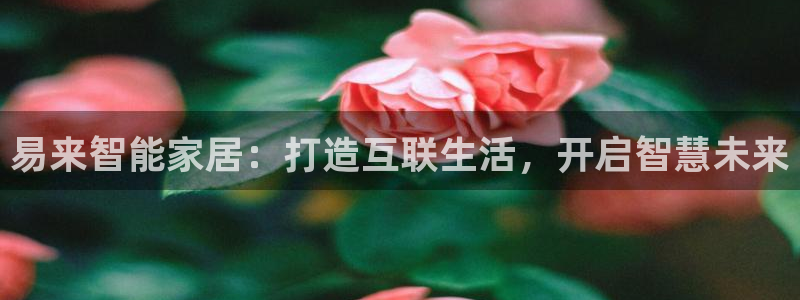 ug环球官网会员注册