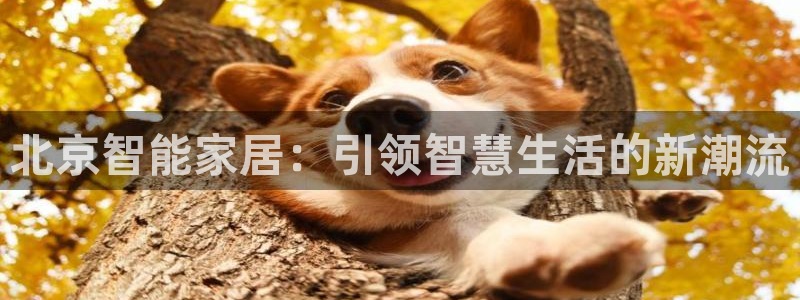 UG环球视讯官网