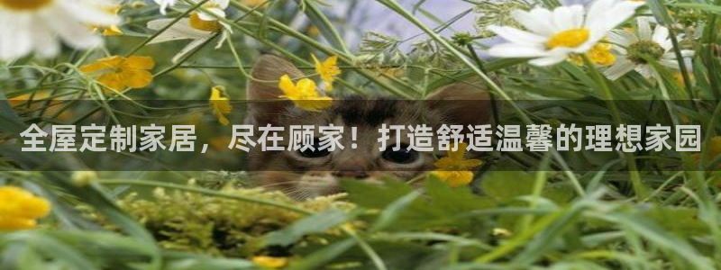 环球ug死网