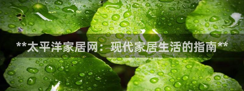 ug环球官网会员