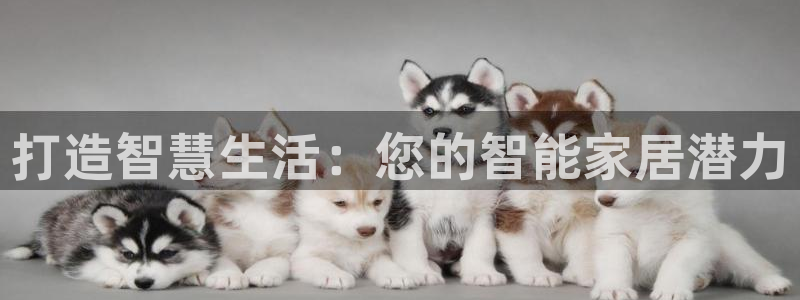 ug环球视讯延时软件