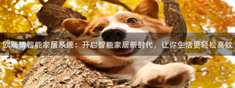 ug环球会员官方客服电话