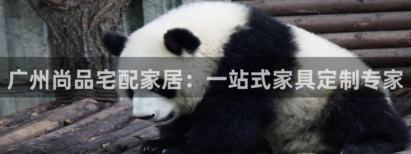 ug环球官网注册会员