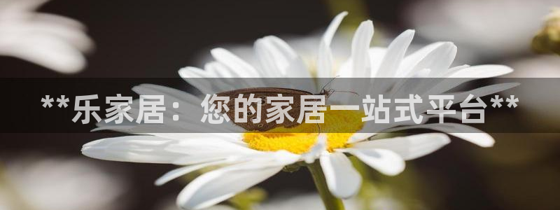 ug环球视讯官网网址