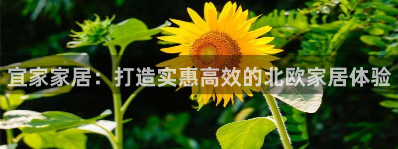 Ug环球私网一比一