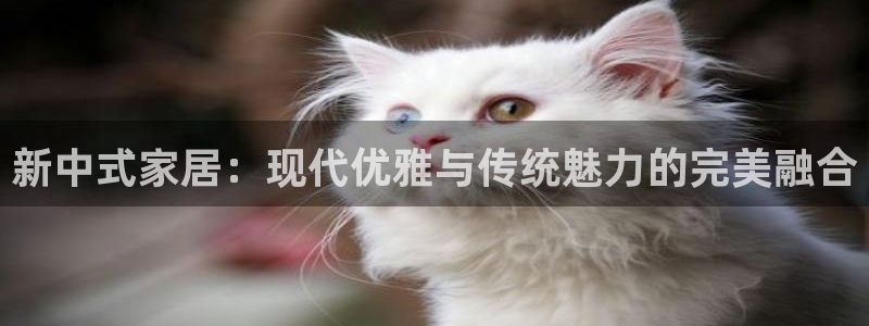 ug环球会员官网