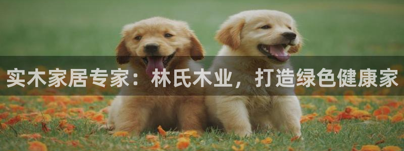 ug环球视讯充值