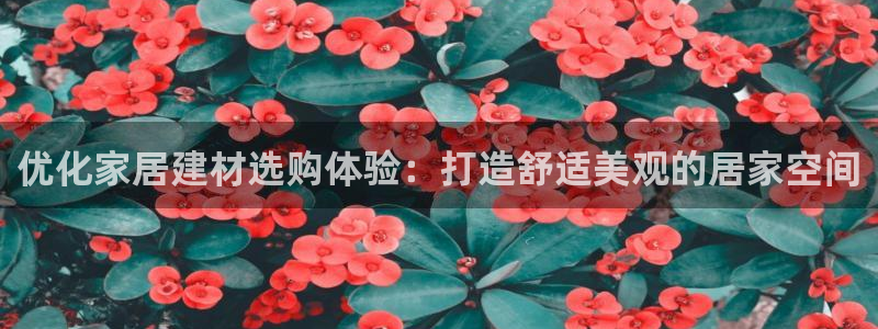 ug环球会员充值