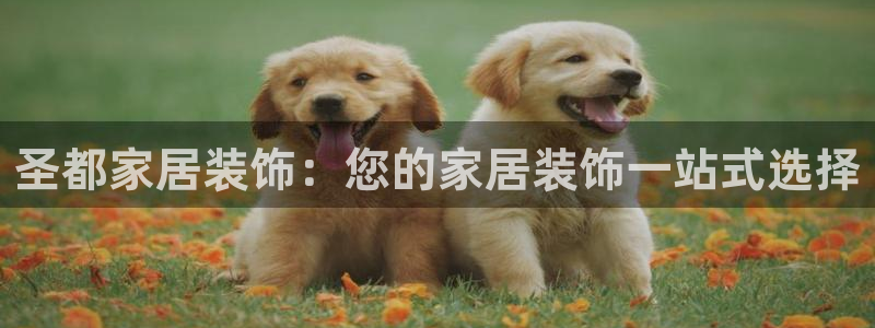 ug环球会员
