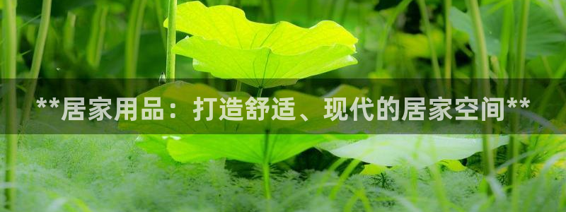 ug环球游戏网站官网