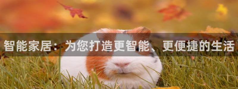 ug环球会员官网