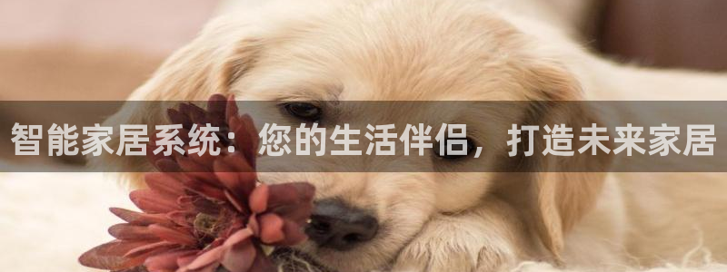 ug环球代理开户