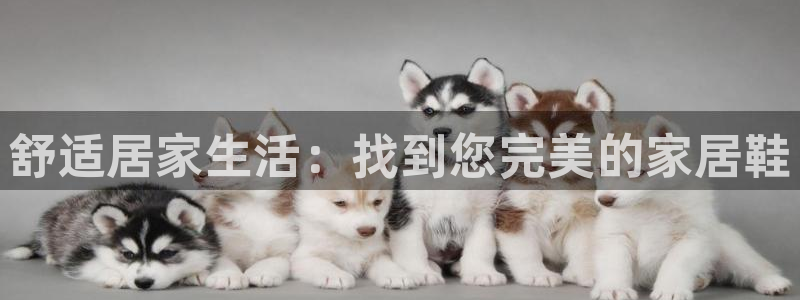 环球ug官网代理