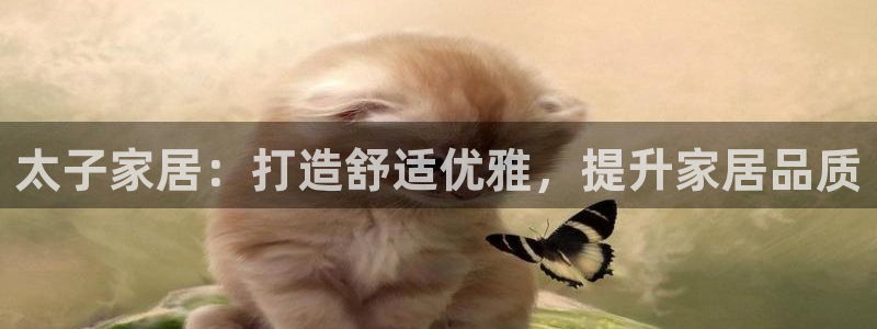 ug环球代理加盟