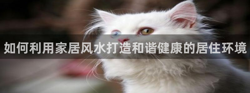 环球ug死网