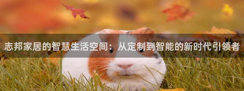 ug环球国际买分