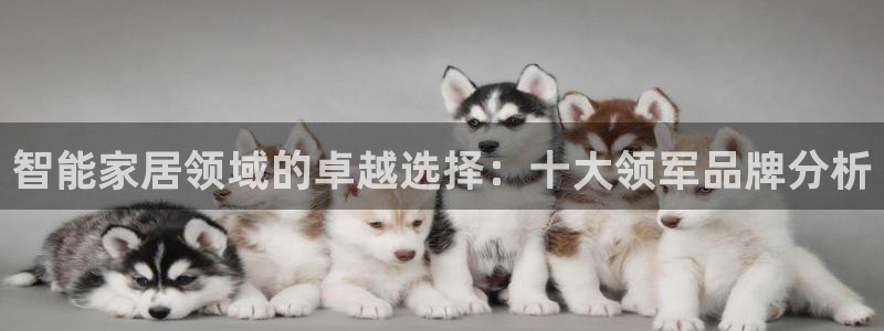 ug环球密码重置是多少位数啊