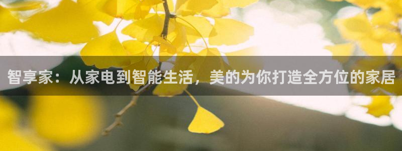 ug环球会员充值