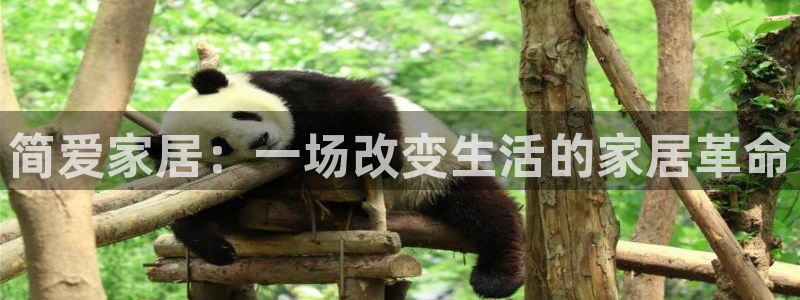 ug环球官网入口
