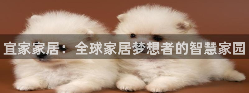 ug环球会员登陆