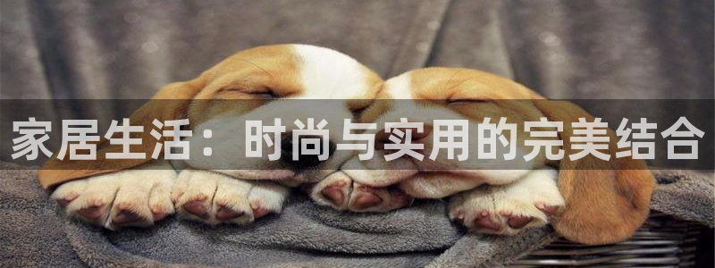 ug环球密码重置是多少位数