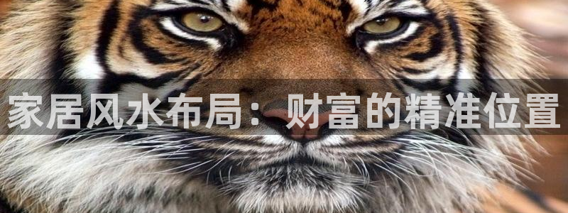 UG环球官网
