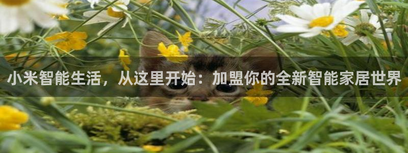 Ug环球私网一比一