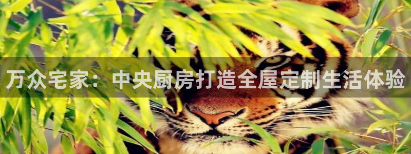 ug环球买代理