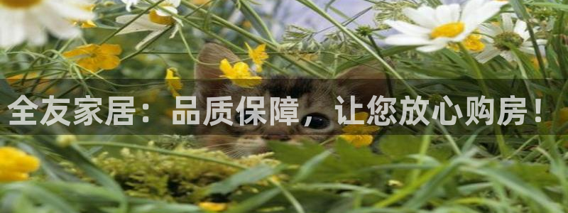 ug环球网