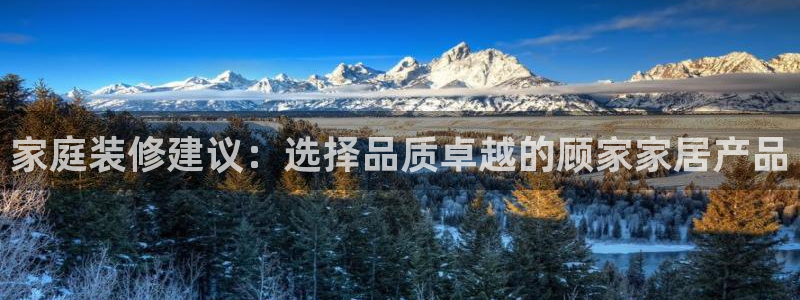 ug环球下载：家庭装修建议：选择品质卓越