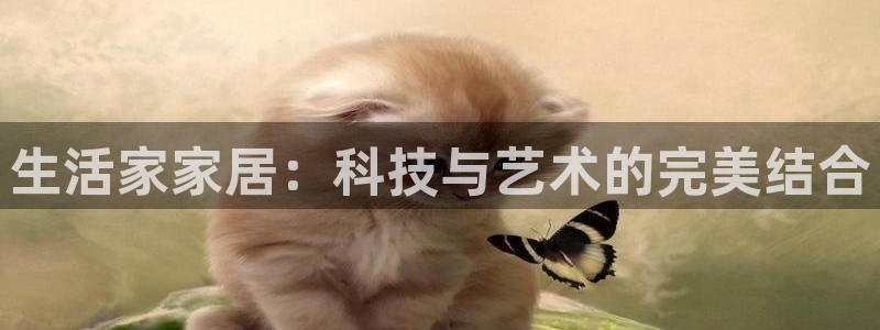 UG环球国际在线