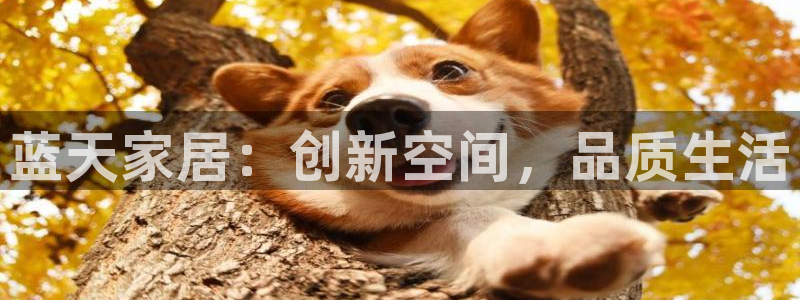 ug环球网：蓝天家居：创新空间，品质生活