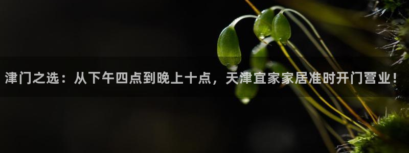 UG环球假网一比一包杀网